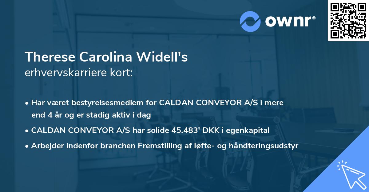 Therese Carolina Widell's erhvervskarriere kort