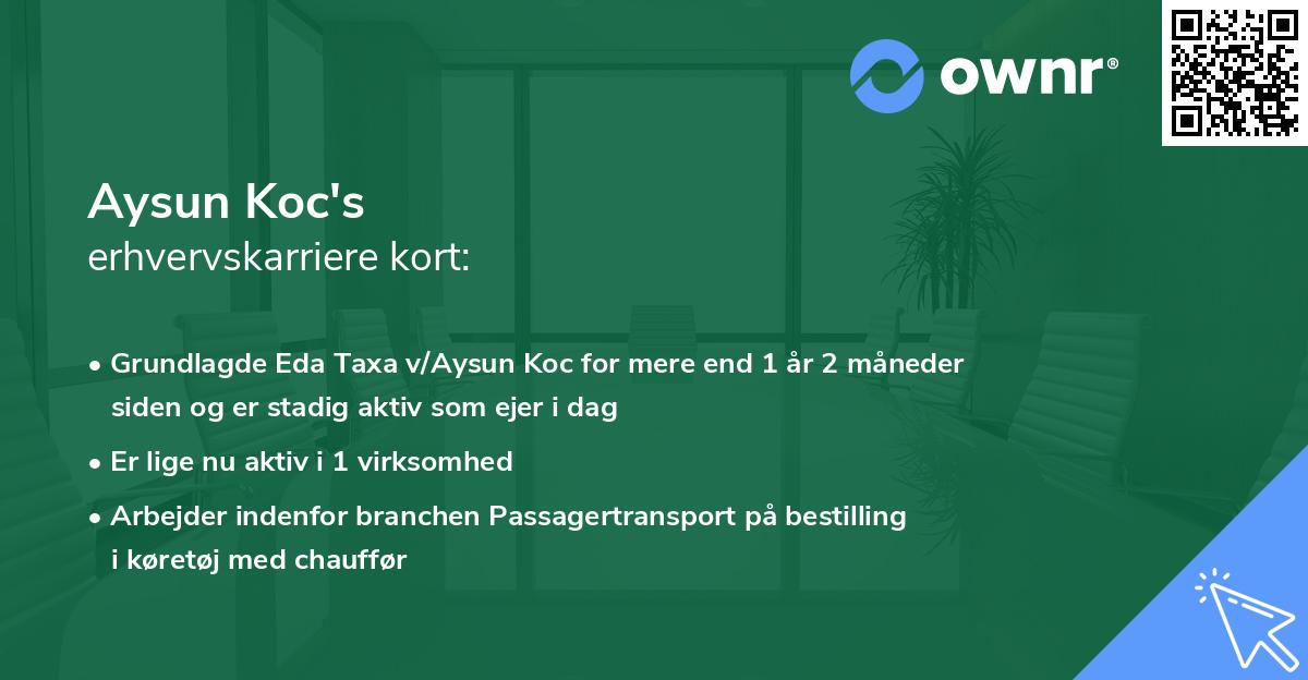 Aysun Koc's erhvervskarriere kort