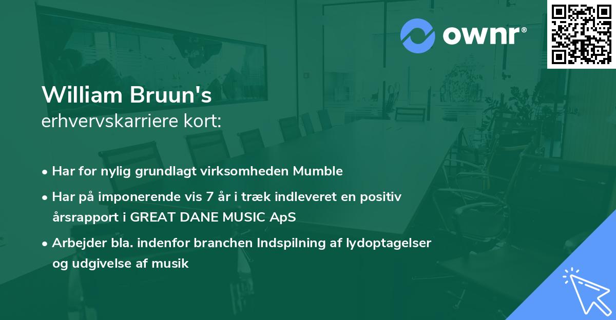 William Bruun's erhvervskarriere kort