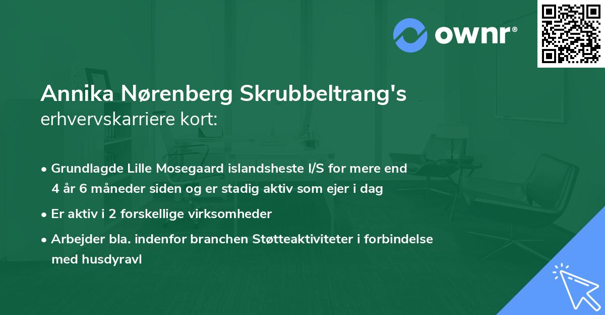 Annika Nørenberg Skrubbeltrang's erhvervskarriere kort