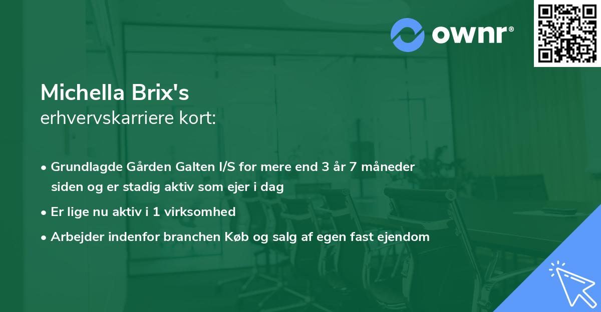 Michella Brix's erhvervskarriere kort