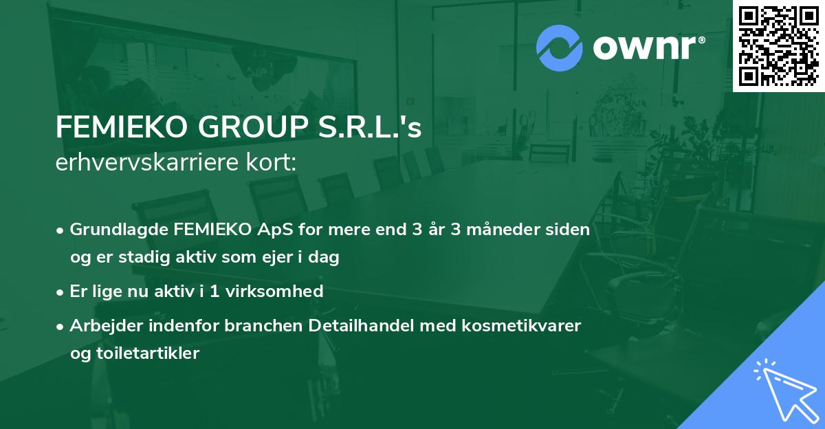 FEMIEKO GROUP S.R.L.'s erhvervskarriere kort
