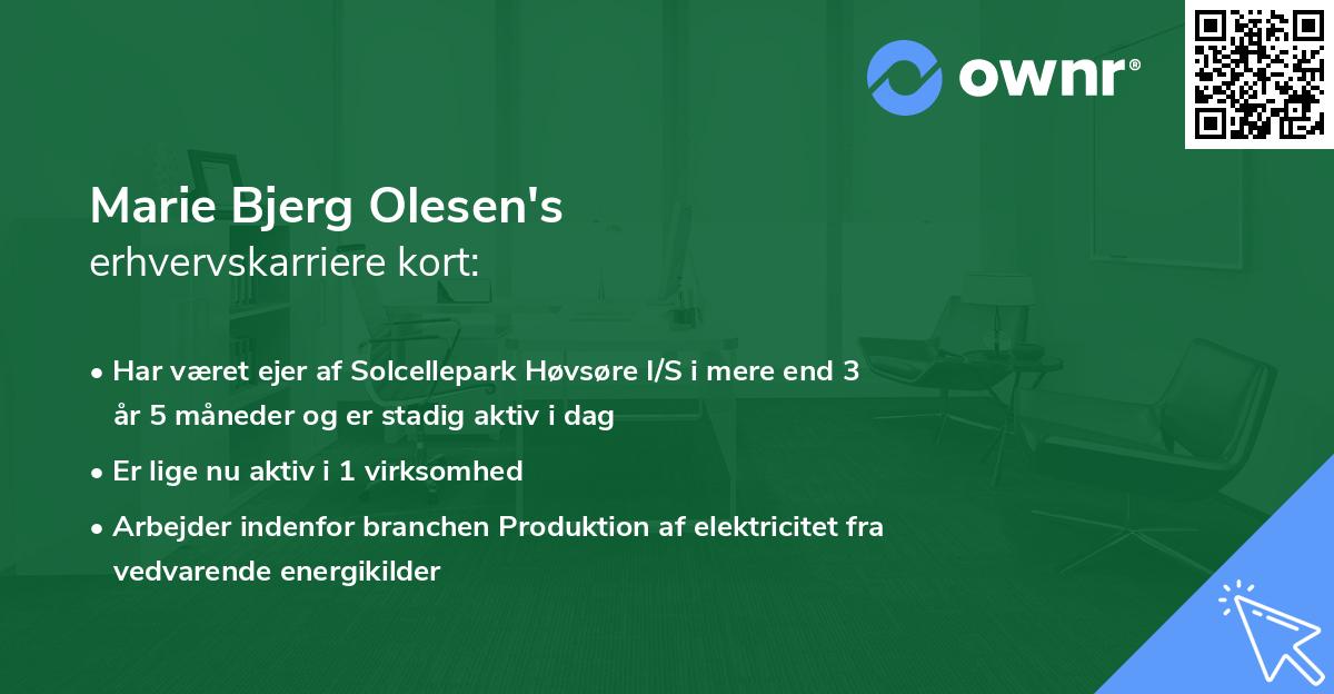 Marie Bjerg Olesen's erhvervskarriere kort