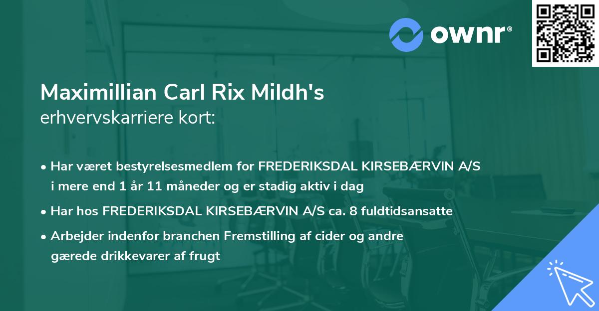 Maximillian Carl Rix Mildh's erhvervskarriere kort