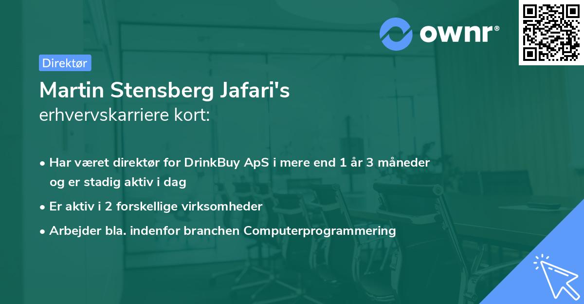 Martin Stensberg Jafari's erhvervskarriere kort