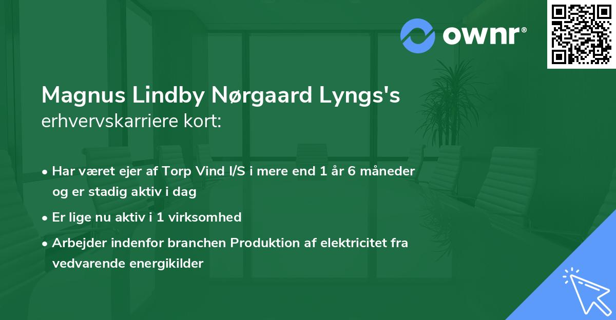 Magnus Lindby Nørgaard Lyngs's erhvervskarriere kort