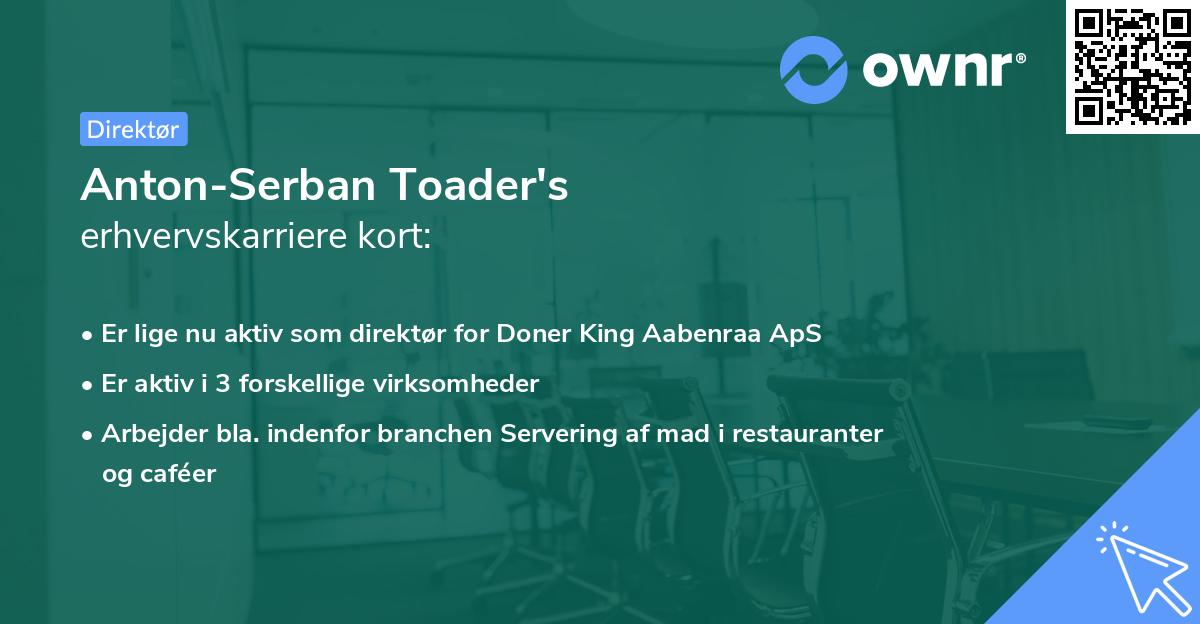 Anton-Serban Toader's erhvervskarriere kort