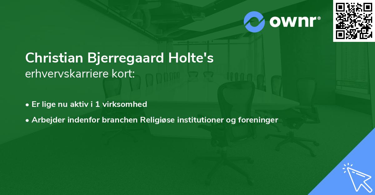 Christian Bjerregaard Holte's erhvervskarriere kort