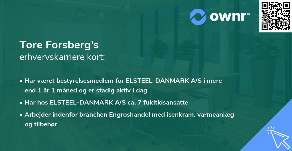 Tore Forsberg's erhvervskarriere kort