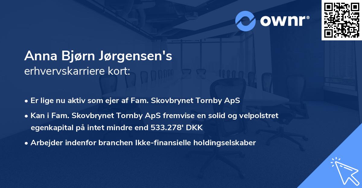 Anna Bjørn Jørgensen's erhvervskarriere kort