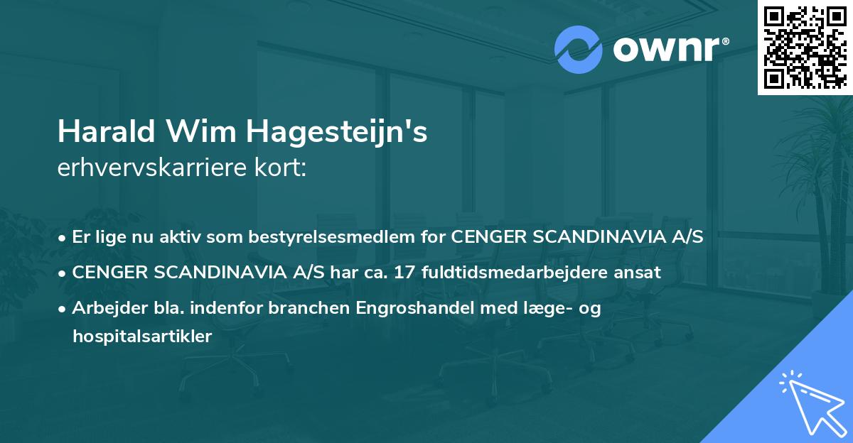 Harald Wim Hagesteijn's erhvervskarriere kort