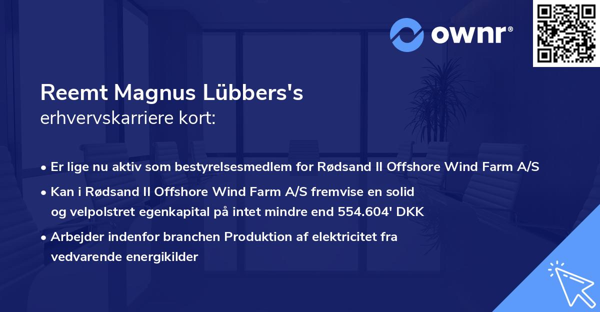 Reemt Magnus Lübbers's erhvervskarriere kort
