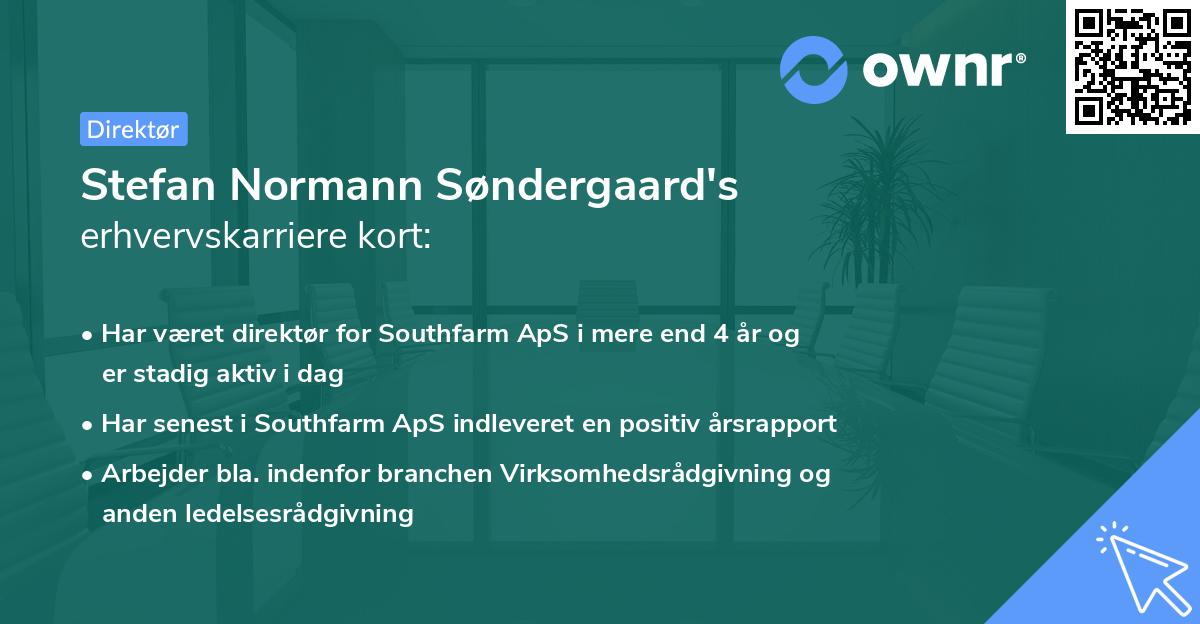 Stefan Normann Søndergaard's erhvervskarriere kort