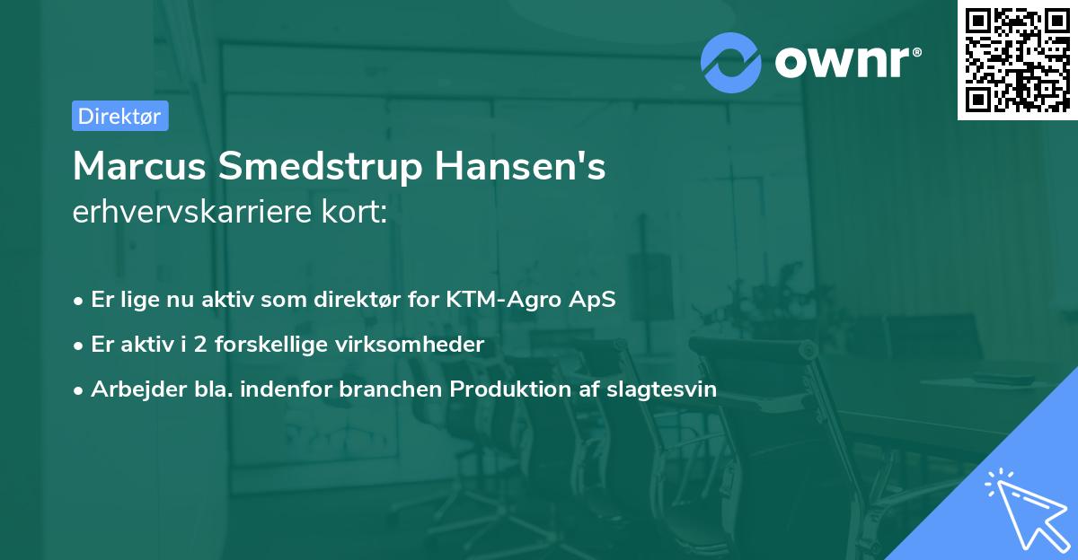 Marcus Smedstrup Hansen's erhvervskarriere kort