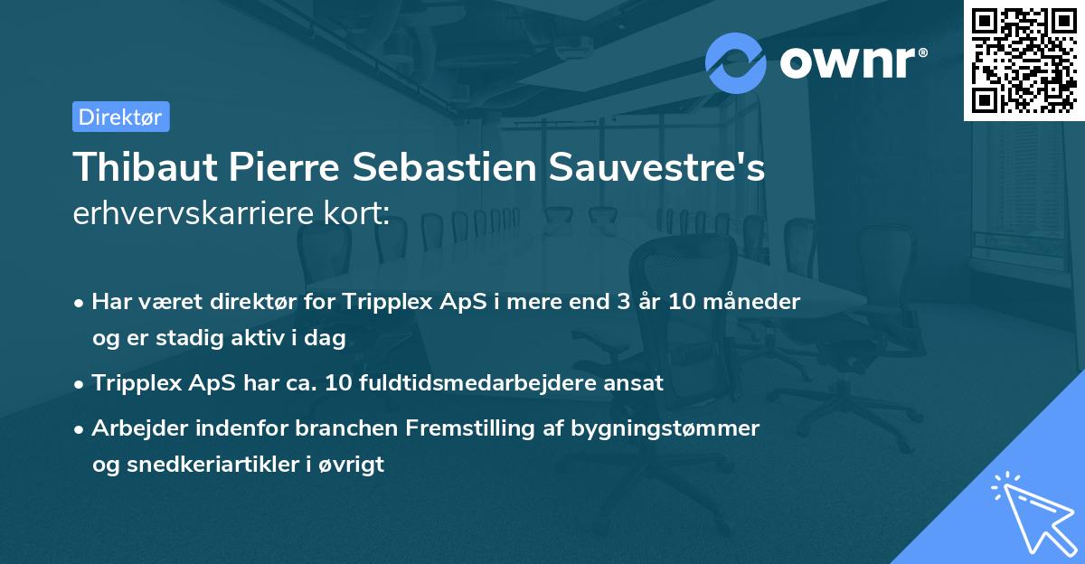 Thibaut Pierre Sebastien Sauvestre's erhvervskarriere kort