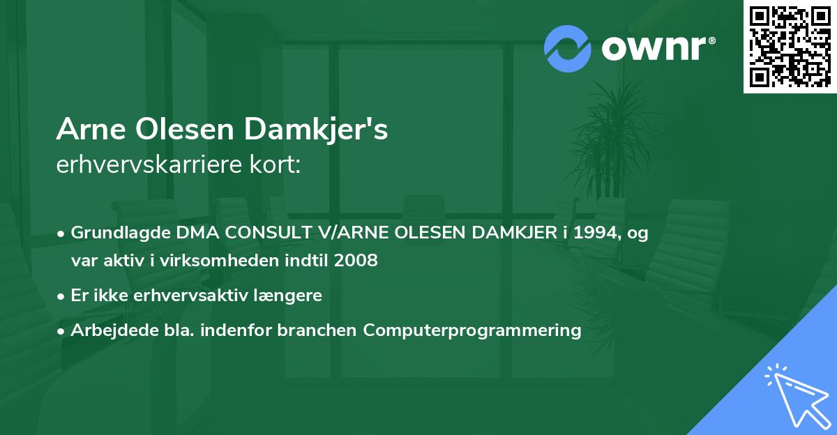 Arne Olesen Damkjer's erhvervskarriere kort