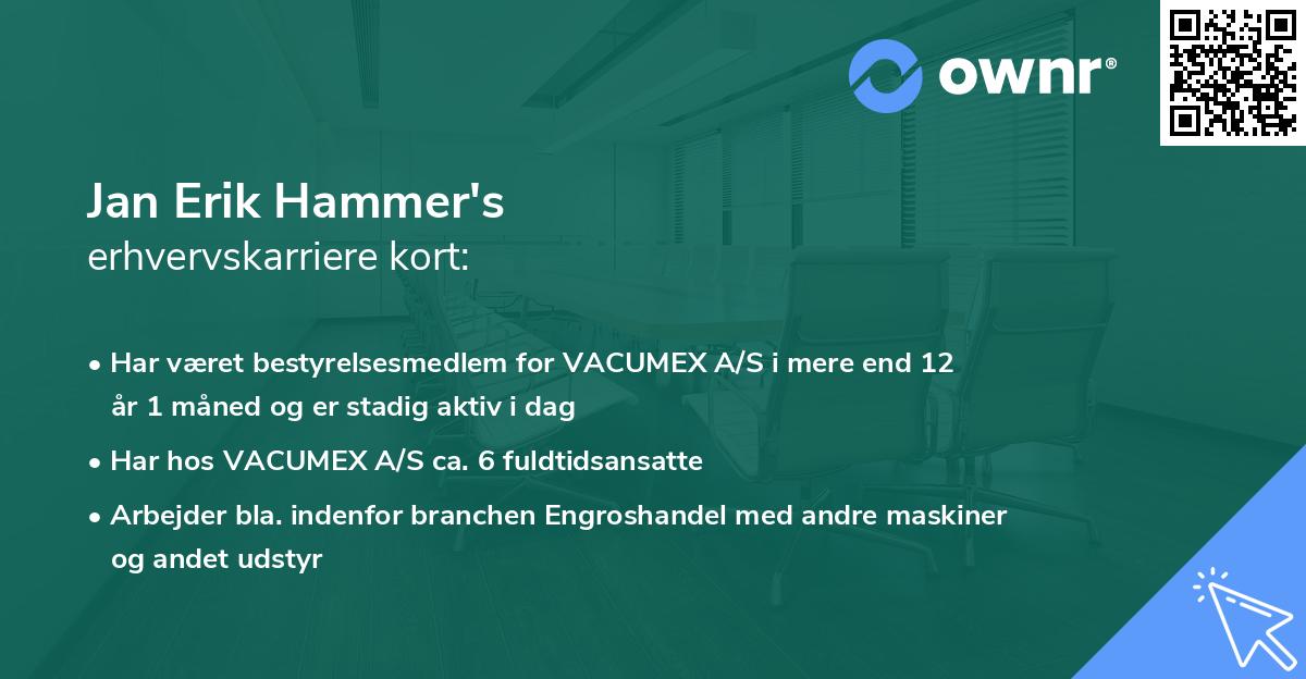 Jan Erik Hammer's erhvervskarriere kort