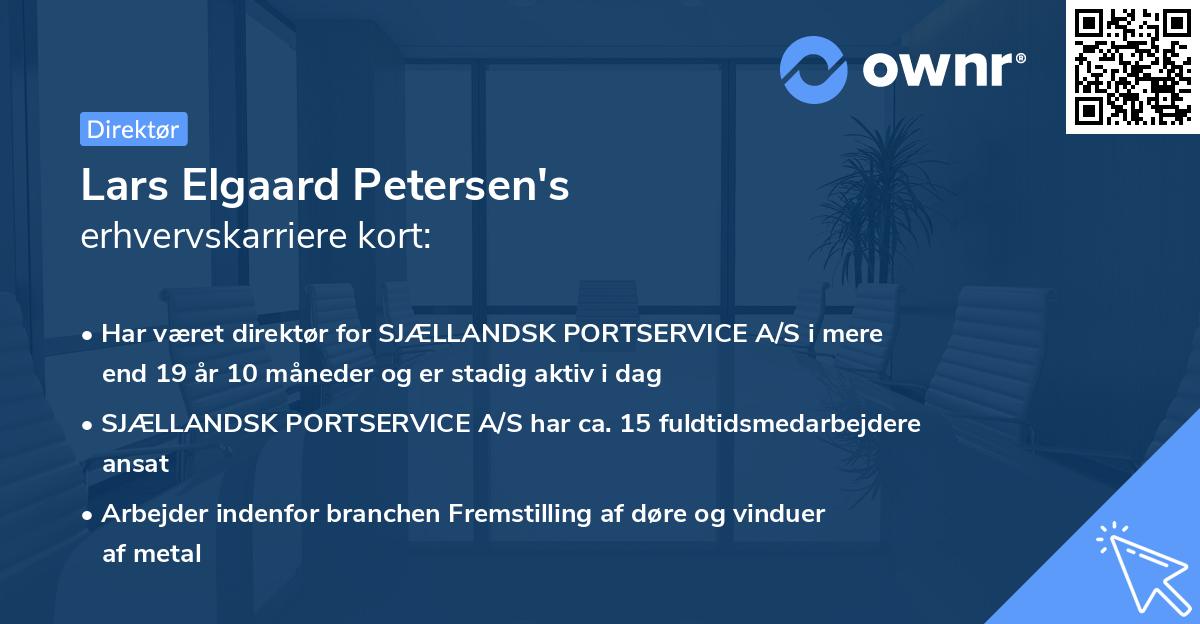 Lars Elgaard Petersen's erhvervskarriere kort