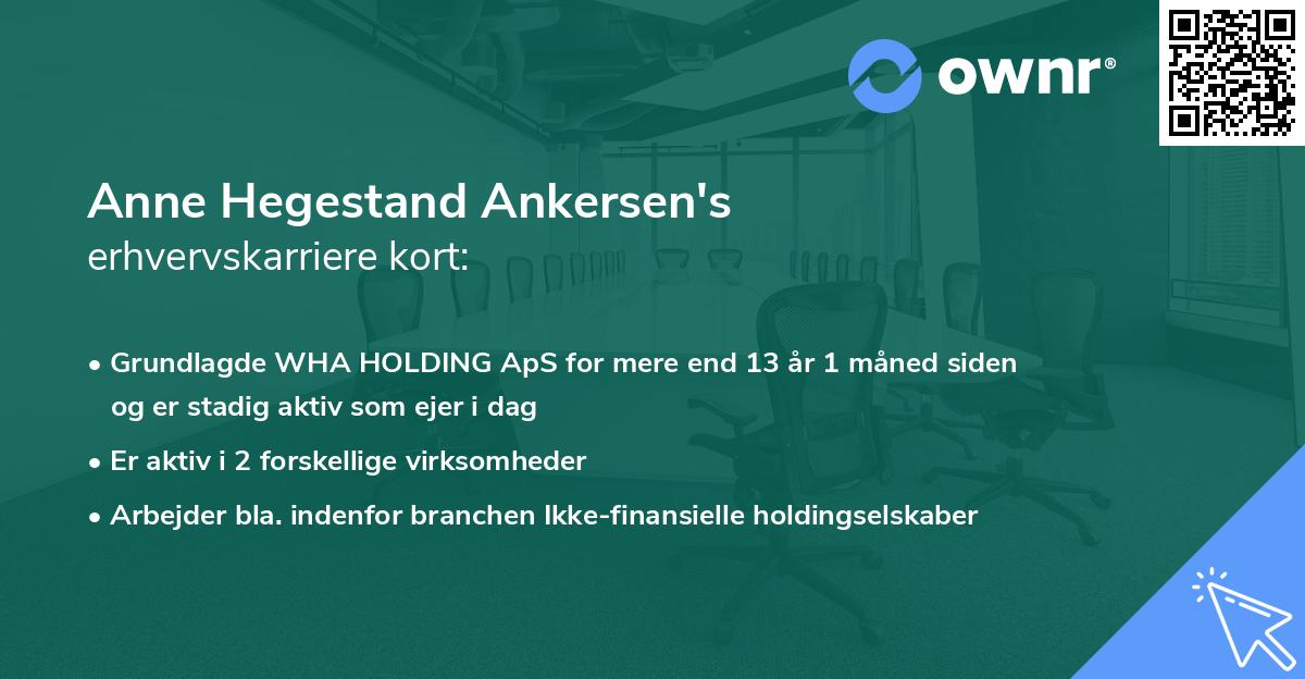 Anne Hegestand Ankersen's erhvervskarriere kort