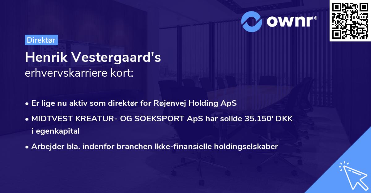 Henrik Vestergaard's erhvervskarriere kort