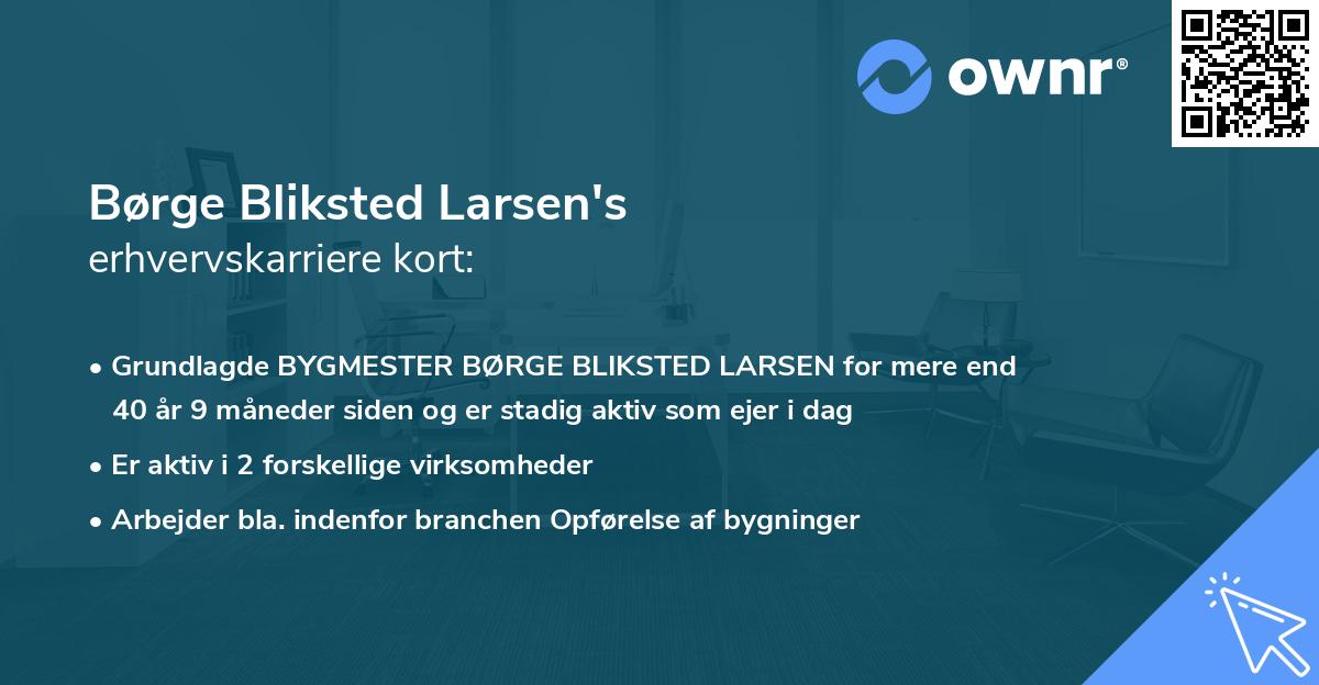 Børge Bliksted Larsen's erhvervskarriere kort