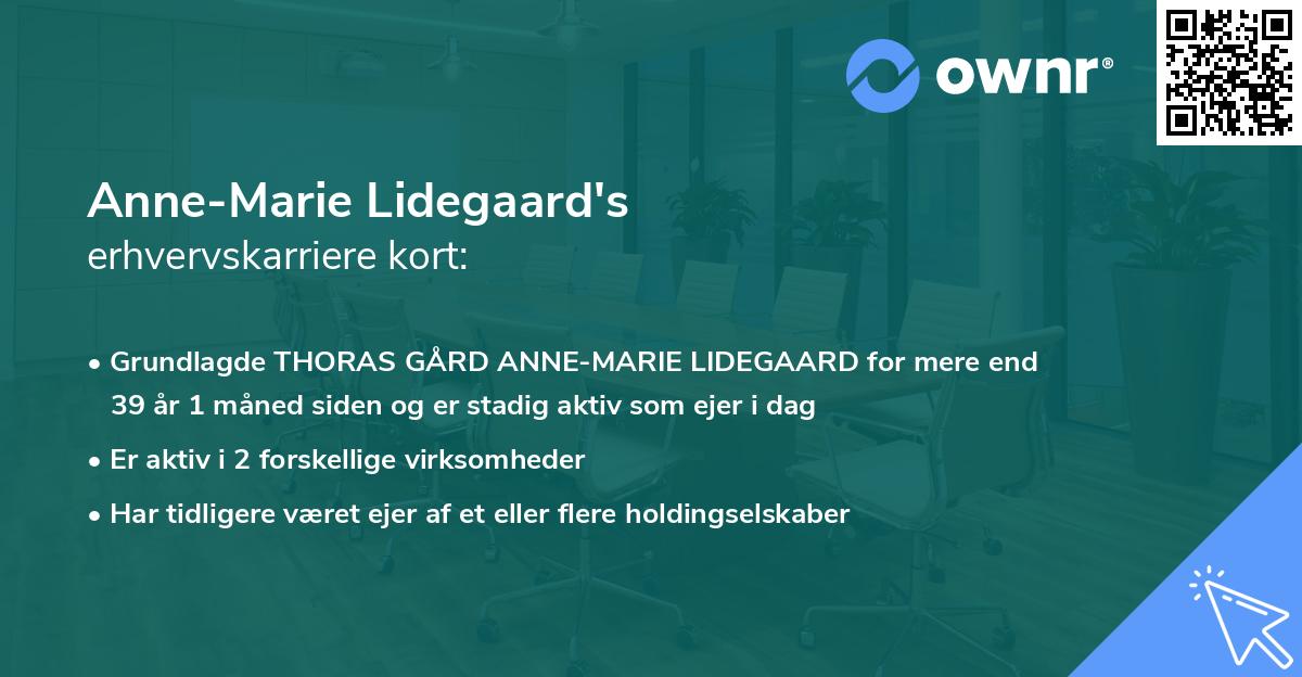 Anne-Marie Lidegaard's erhvervskarriere kort