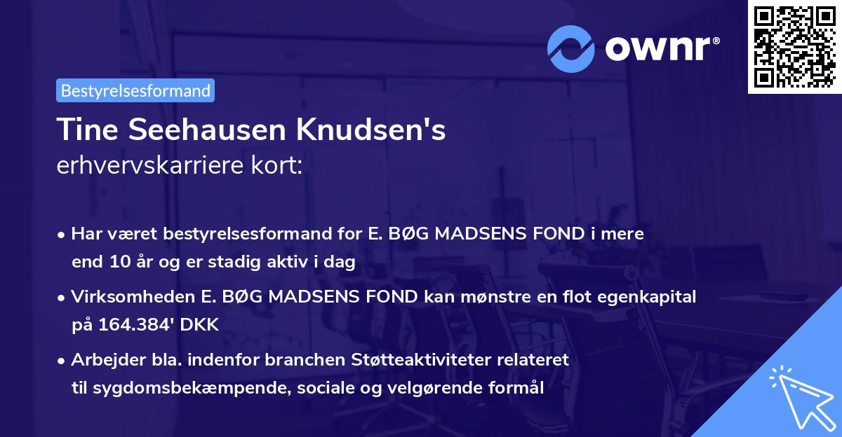 Tine Seehausen Knudsen's erhvervskarriere kort