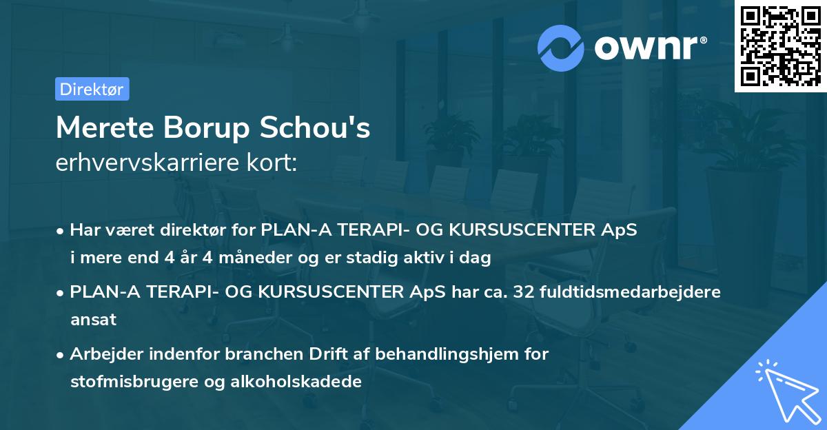 Merete Borup Schou's erhvervskarriere kort