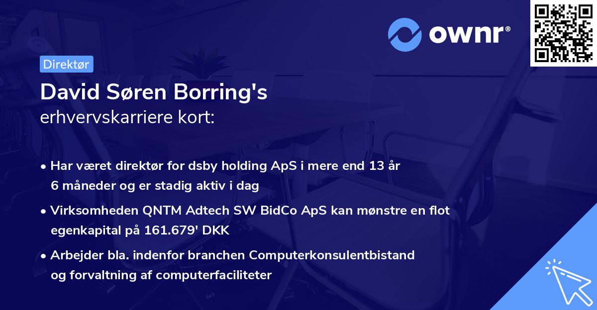 David Søren Borring's erhvervskarriere kort