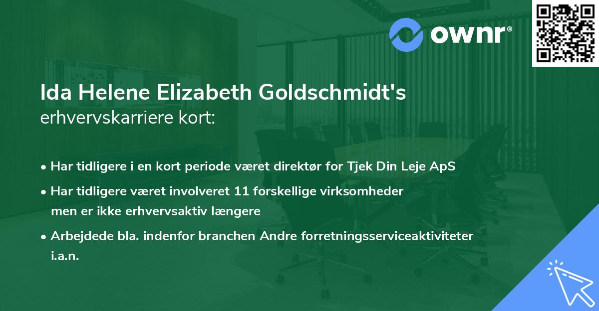 Ida Helene Elizabeth Goldschmidt's erhvervskarriere kort
