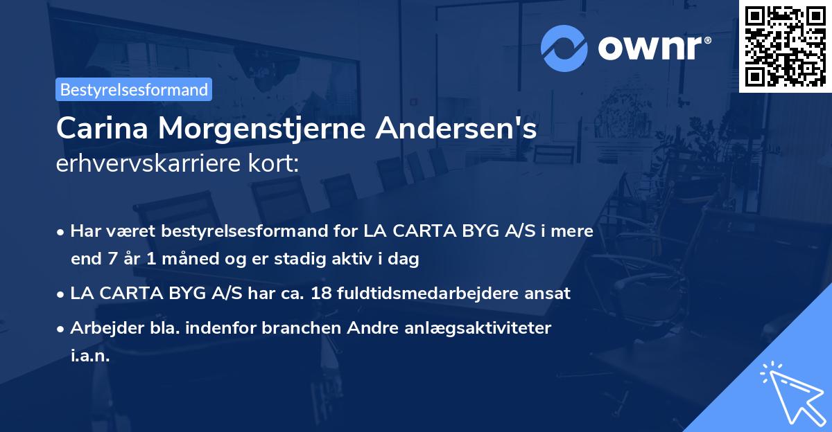 Carina Morgenstjerne Andersen's erhvervskarriere kort