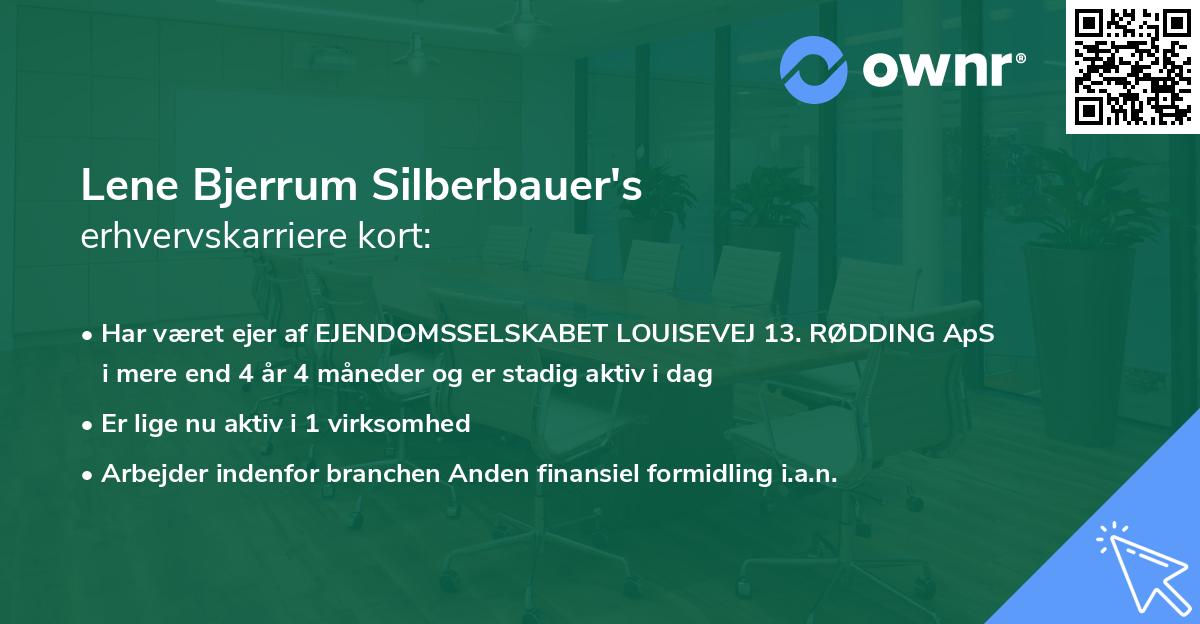 Lene Bjerrum Silberbauer's erhvervskarriere kort