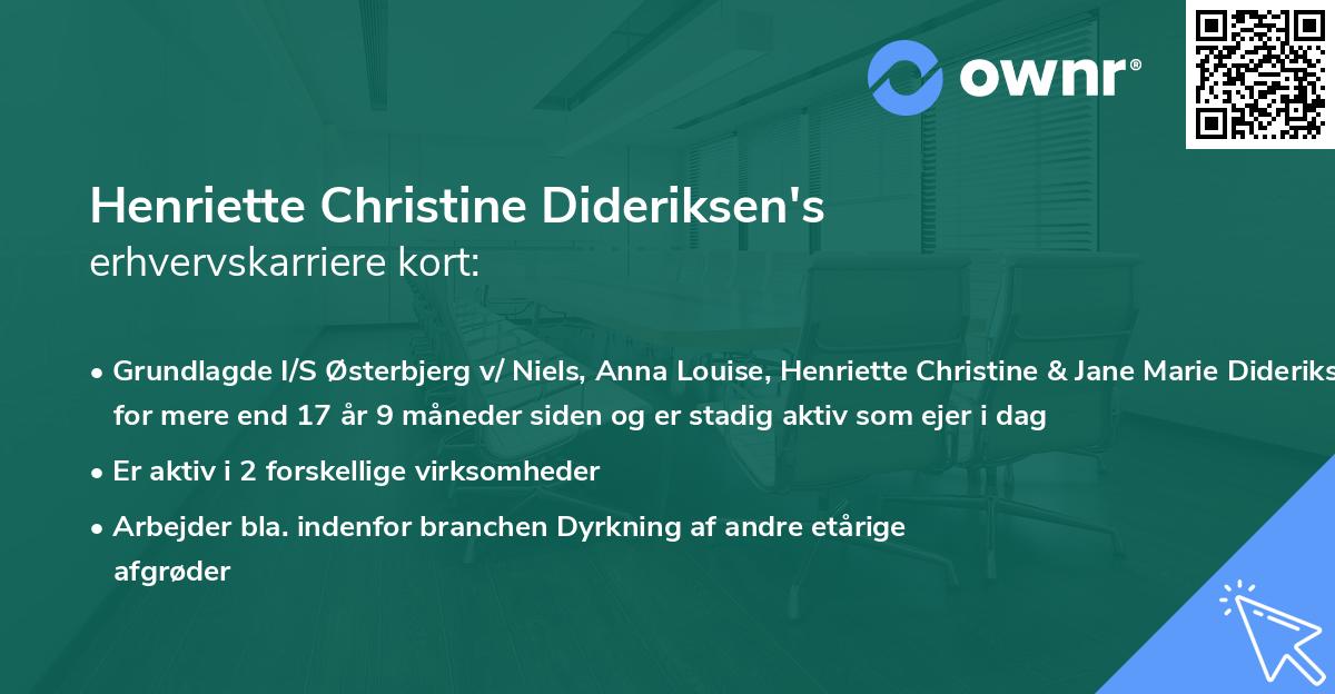 Henriette Christine Dideriksen's erhvervskarriere kort