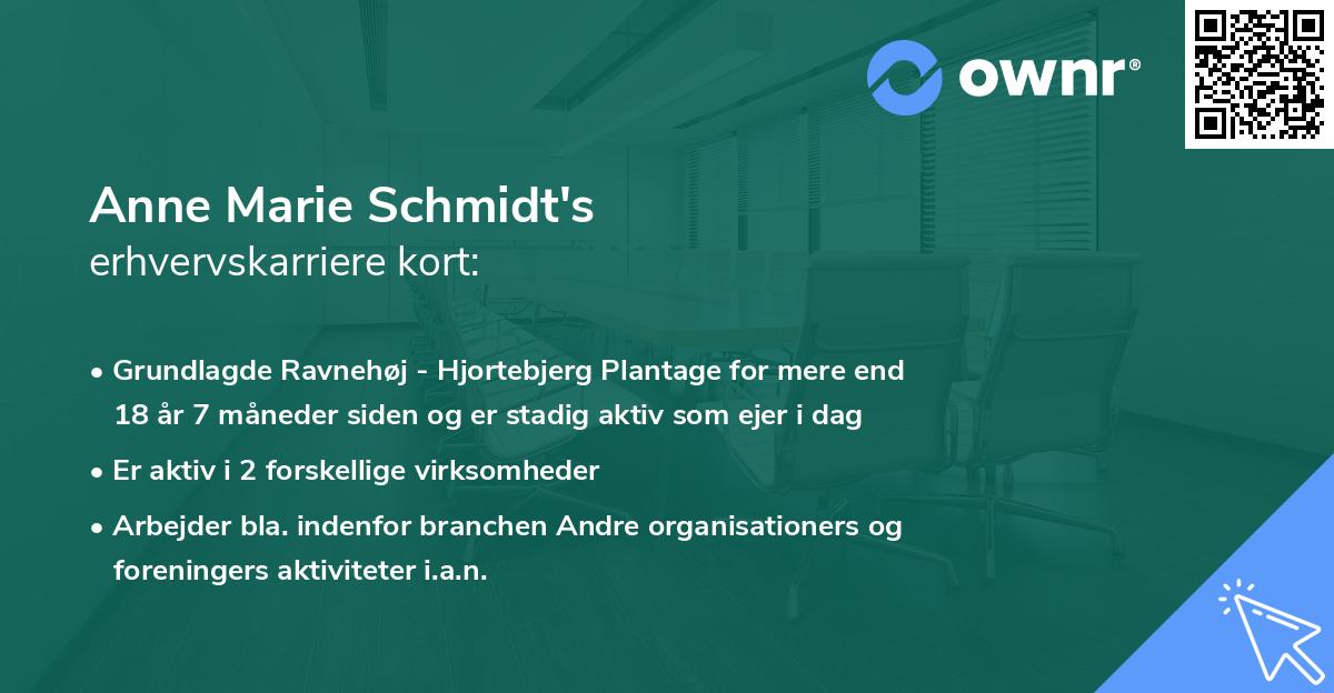 Anne Marie Schmidt's erhvervskarriere kort
