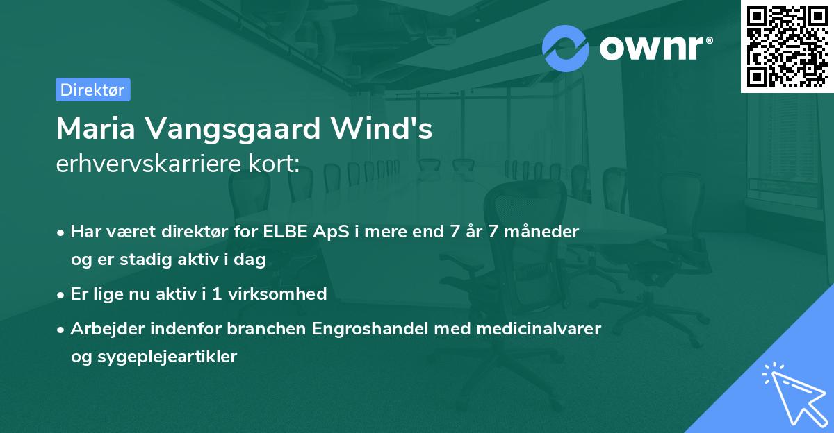 Maria Vangsgaard Wind's erhvervskarriere kort