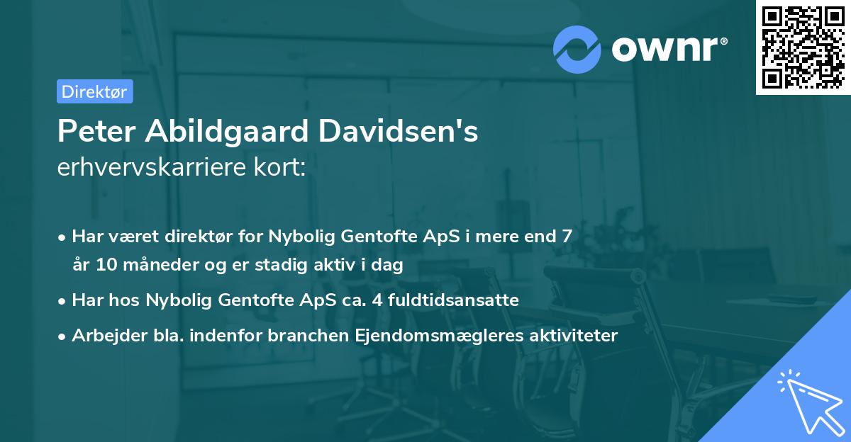 Peter Abildgaard Davidsen's erhvervskarriere kort