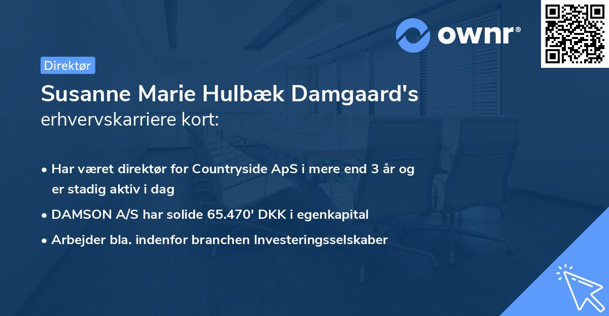 Susanne Marie Hulbæk Damgaard's erhvervskarriere kort