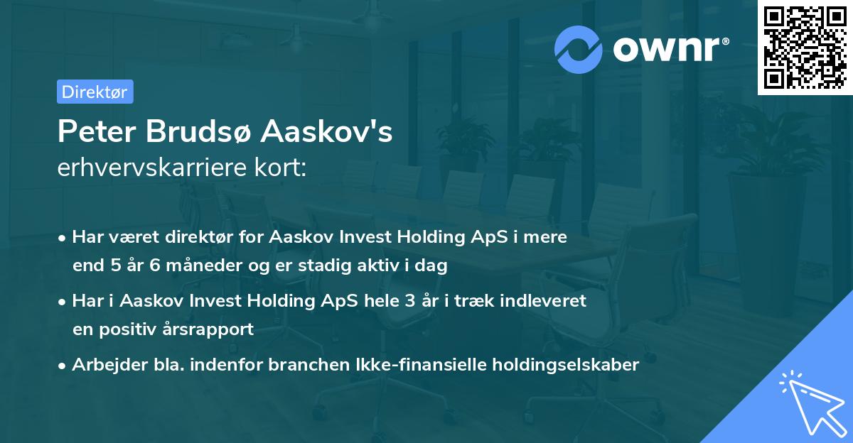 Peter Brudsø Aaskov's erhvervskarriere kort