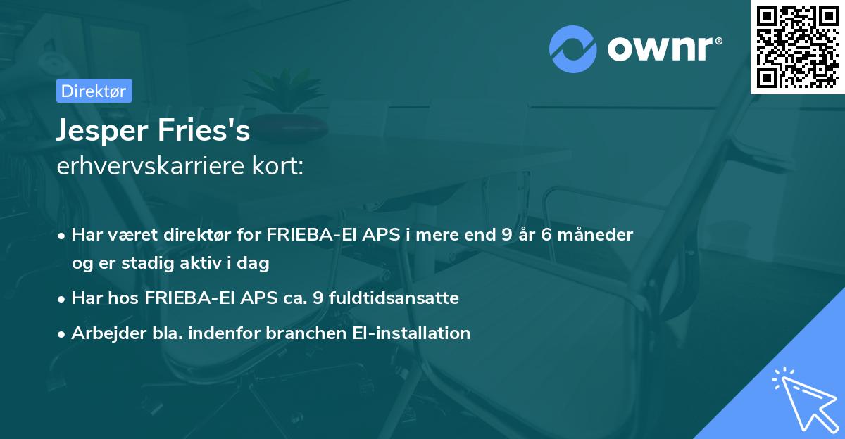 Jesper Fries's erhvervskarriere kort