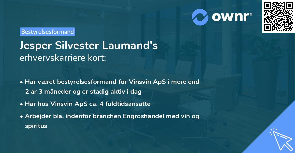 Jesper Silvester Laumand's erhvervskarriere kort