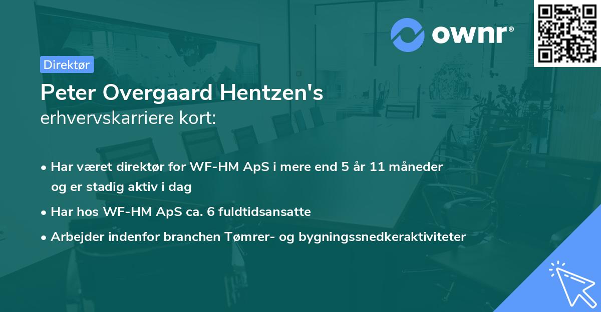 Peter Overgaard Hentzen's erhvervskarriere kort