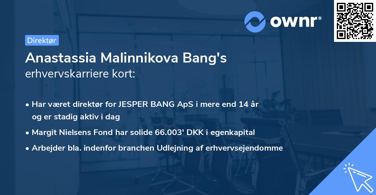 Anastassia Malinnikova Bang's erhvervskarriere kort