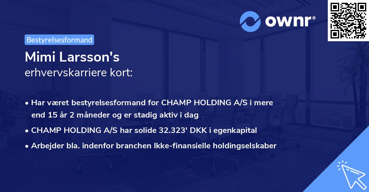 Mimi Larsson's erhvervskarriere kort