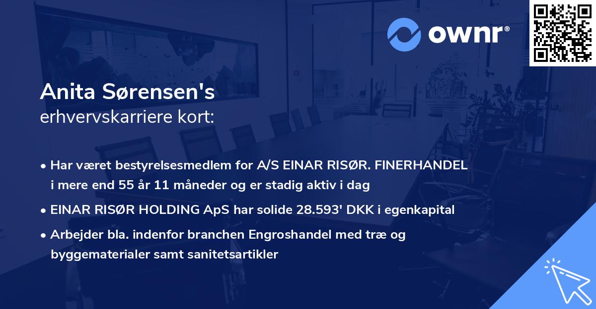 Anita Sørensen's erhvervskarriere kort
