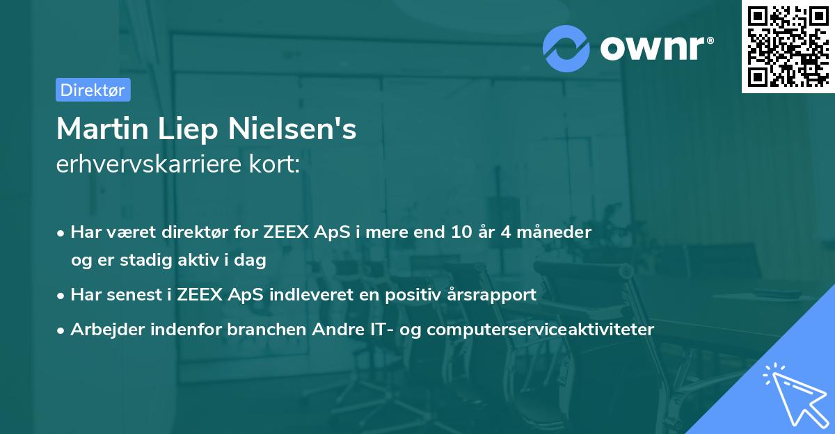 Martin Liep Nielsen's erhvervskarriere kort