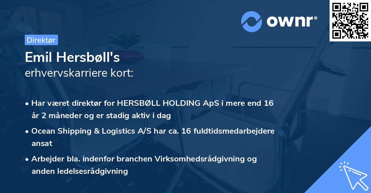 Emil Hersbøll's erhvervskarriere kort