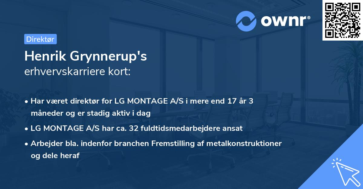 Henrik Grynnerup's erhvervskarriere kort