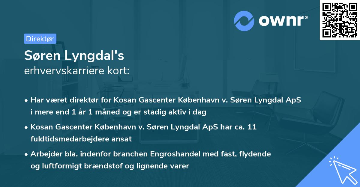 Søren Lyngdal's erhvervskarriere kort