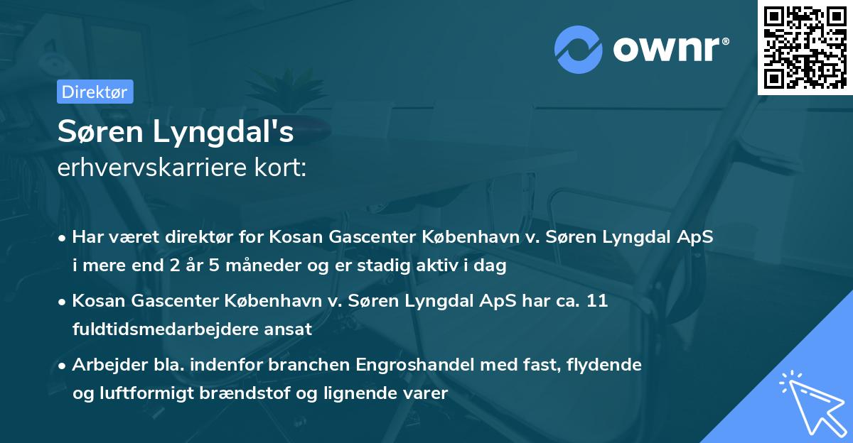 Søren Lyngdal's erhvervskarriere kort