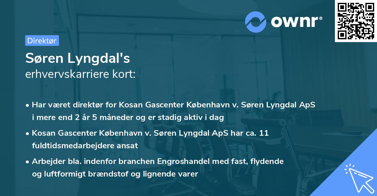 Søren Lyngdal's erhvervskarriere kort